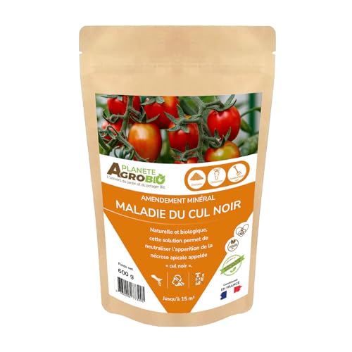 Cul noir, Nécrose apicale (600 Grammes)