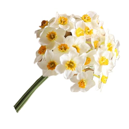 Gadpiparty ͑ԑ 1 V~[Vt[ ʐ^Bep ƒ ItBX ̃CeAp