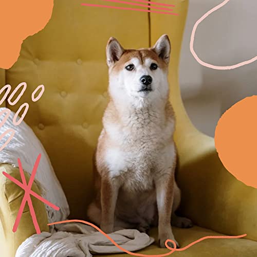 Wicked Library Background High Class Background for Well Trained Pups by Doggy Music Radio on ...