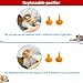 YeulYuuri Pet Feeding Bottle and Syringe Set for Puppies and Kittens(3 Bottles,3 Syringes,9 Nipples)