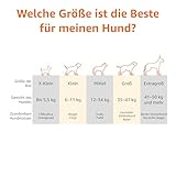 Amazon Basics Kühlendes erhöhtes Hund Haustierbett, Grau, Größe L, L 130 x B 80 x H 19 cm