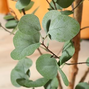Artificial Eucalyptus Tree 4ft, Tall Fake Eucalyptus Tree with Natural Wood Trunk and Silver Dollar Leaves, Silk Faux Eucalyptus Artificial Plants for Indoor Home Decor Office, 1Pcs Artificial Eucalyptus Tree 4ft Tall Fake Eucalyptus Tree with Natural Wood Trunk and Silver Dollar Leaves Silk Faux Eucalyptus Artificial Plants for Indoor Home Decor Office 1Pcs