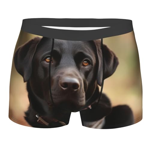 LHBWCVN Men's Ultra Breathable Underwear cute Labrador Dog Boxers Briefs Soft Cotton Boxer Shorts Tagless Trunks, Black, M