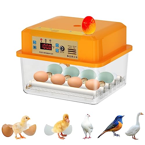 PaTunTEK 16 Eggs Incubator, Fahrenheit Incubators for Hatching Egg with Automatic Egg Turning & LED...