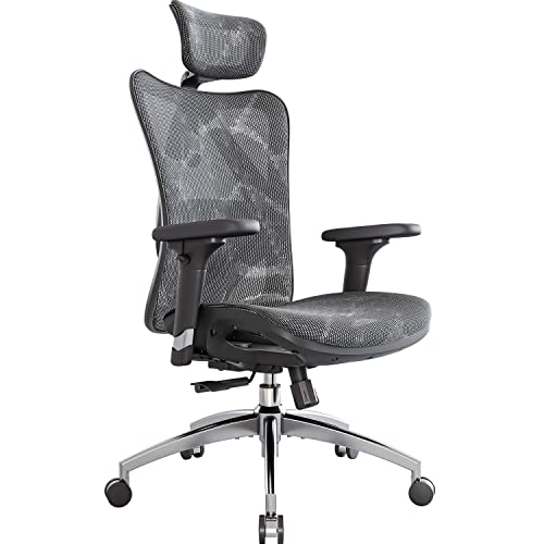 SIHOO M57 Ergonomic Office Chair, Fully Breathable Design, Computer Chair, High Back, 3D Adjustable with Armrests and Lumbar Support (Grey)
