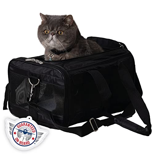 Top 13 Best Cat Carriers for Nervous Cats in 2023 Review & How to