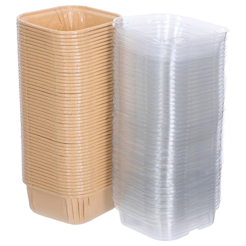 COHEALI 100ĝăACXN[pJbv Wt XNGAfU[gJbv P[Lv ^ѕ֗ Ntg p[eB[