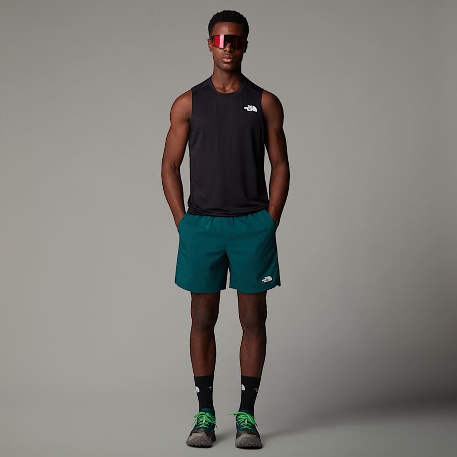The North Face Herren Shorts Mountain 24/7 7in Graphic