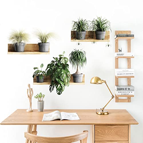 Maydahui Creative Green Pot Plants Leaves Wall Decals 3D Bonsai Tropical Plant Wall Sticker (34 X 31 Inch) Peel & Stick Removable Nature Art Mural Decor For Office Home Living Room Bedroom #TOP3