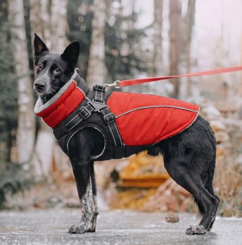 KONVINIT Warme Hundejacke Wasserdicht Hundemantel für Kleine und Mittelgroße Grosse Hunde Winter Hundemantel mit Geschirr Hund Wintermantel mit Reflexstreifen und Bauchschutz,Size L