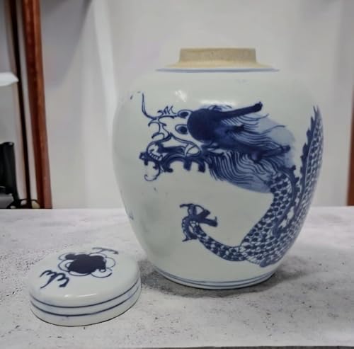 Festcool Retro Antique Like Style Blue and White Porcelain Dragon