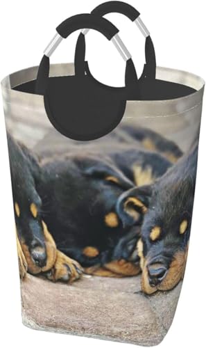 h[oXPbge 󂩂 h bgC[  ybg q ^ 󕨗p H eʕzGݎ[{bNX G [obO QA󎺁A Vvł[