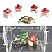 Shuaigetoao 3 PCS Jumping Spider Hide Creative Jumping Spider Decor Jumping Spider Habitat Mini Mushroom Decor Jumping Spider Enclosure for Jumping Spider Accessories(Mushroom)