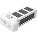 DJI Phantom 3 Quadcopter Drone 4480mah Intelligent Flight Battery 2-Pack Bundle