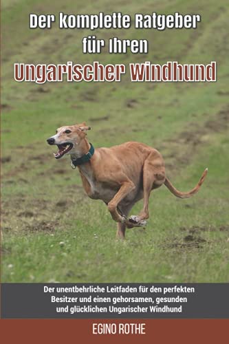 Naturbelassenes hundefutter test