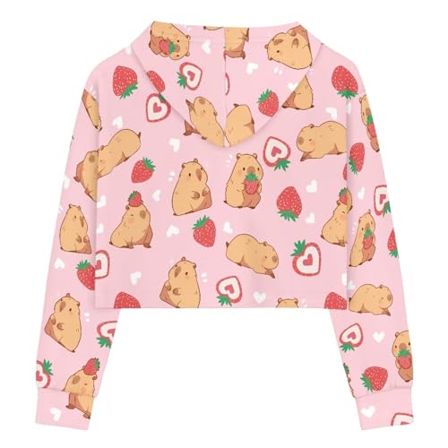 Cozeyat Girls Long Sleeves Hoodies,Softy Crop Tops Pullover for Kids Teens Sweatshirts,5-14 Years2