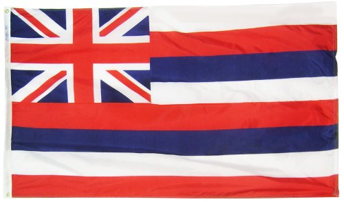 Drapeau d'Hawaï 3 by 5 Foot抗撕裂 Annin State Flags grand format