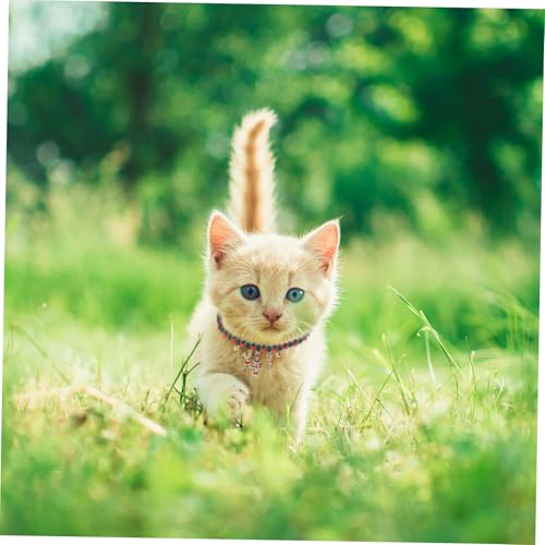 Collier chaton de Noël ajustable pour éviter les irritations durant les fêtes