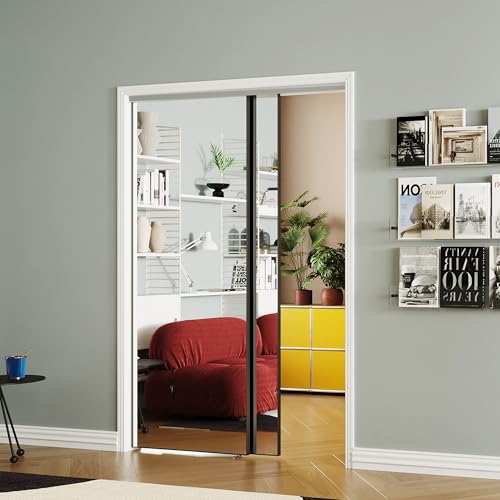 SOLRIG Mirror Closet Doors, Perfect for 60"(Double 30.98") x 80"