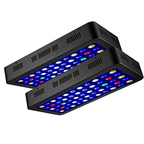 Zxmean Led Aquarium Light 2 Pack 165w Fish Tank Light Coral Reef Lights For Saltwater Freshwater Tank Two Channel Dimmable Seperately Buy Online In Antigua And Barbuda At Antigua Desertcart Com Productid 98133627