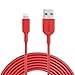 Anker PowerLine II Lightning Cable (10ft), Probably The World's Most Durable Cable, MFi Certified for iPhone X / 8 / 8 Plus / 7 / 7 Plus / 6 / 6 Plus / 5s (Red)
