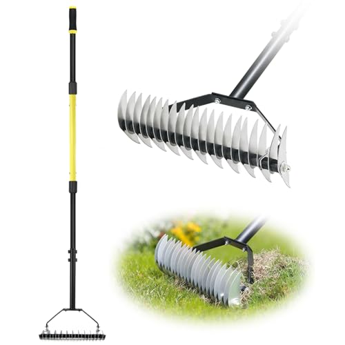 Jardineer Thatch Rake Heavy Duty, Hand Lawn Scarifier Rake for Weeding, Grass Grooming, Dead Grass Cleaning, Long Handle Metal Lawn Rakes with 21 Stainless Steel Tines