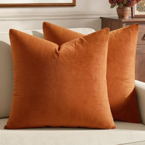 MIULEE Velvet Throw Pillow Covers 24x24 Inch, Pack of 2 - Orange, Euro Soft Solid Decorative Pillow Covers Farmhouse Modern Home Decor for Couch Sofa Bedroom Living Room