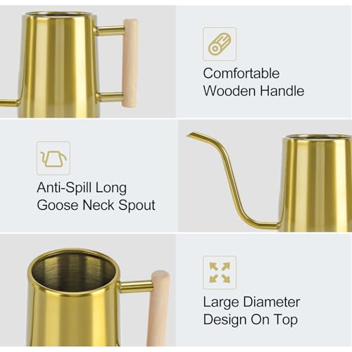 Image of Watering Can Indoor Plants, 35 oz /1000 ml Metal Stainless Steel Watering Can Pot with Long Spout for Indoor House Plants Bonsai Outdoor Garden Flower Decorative (Gold)