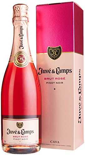 Juvé y Camps Brut Rosé Cava Brut Reserva (3 x 0.75 l) Cover