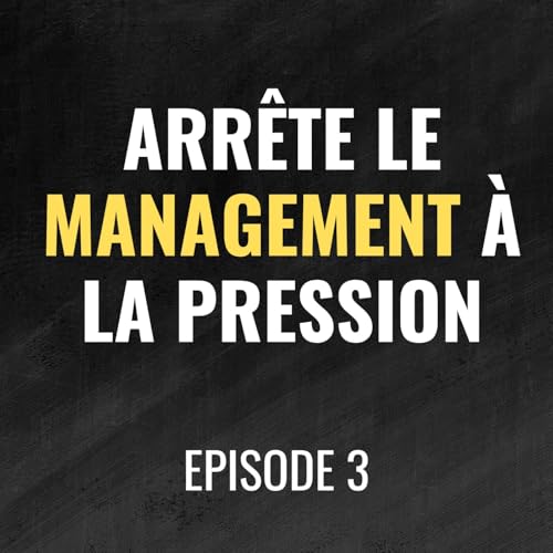 Episode 3 - La troisi&egrave;me voie du management : syst&egrave;me, confiance et culture de la performance