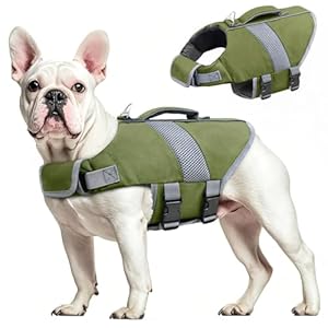 Oslueidy Hund Rettungsweste Hohe Flotation, Reflektierende Hund Rettungsretter schwimmt Weste Haustier Rettungsweste Badeanzugen Kleiner Mittlerer Großer Hunde zum Schwimmen Bootfahren Surfen Kajakin