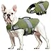 Oslueidy Hund Rettungsweste Hohe Flotation, Reflektierende Hund Rettungsretter schwimmt Weste Haustier Rettungsweste Badeanzugen Kleiner Mittlerer Großer Hunde zum Schwimmen Bootfahren Surfen Kajakin