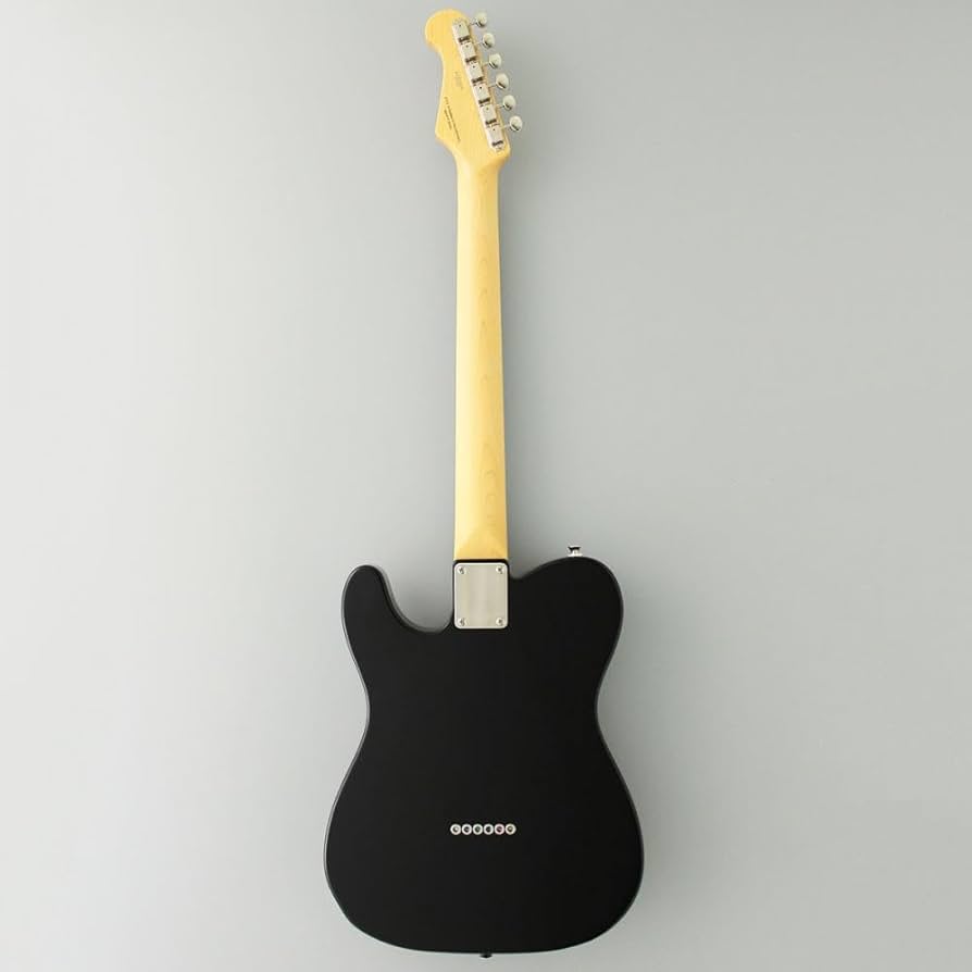 Amazon | FUJIGEN Neo Classic SERIES NTE100RAL-BK/01 エレキ