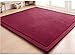 QTFBYT Tappetino per Gattonare Tappetino in Peluche Tatami Coprimaterasso per Dormire Tradizionale Giapponese Futon Pad Tappeto in Pile di Corallo Cuscino per Yoga Materasso per letto-b-3cm 100x200cm
