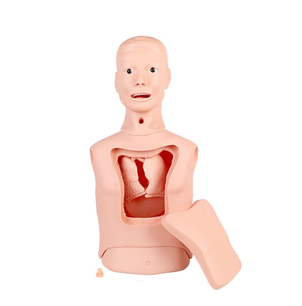 Zaawansowany model pielęgnacji nosowo-żołądkowej i tchawicy model tracheotomii płukanie żołądka model tracheotomii rurki intubacyjnej model rurki żołądkowej wielofunkcyjny trening pielęgniarski