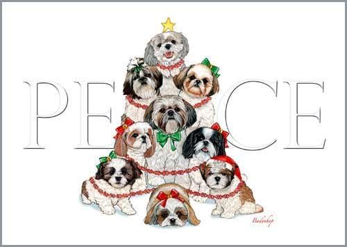 Shih Tzu Christmas Cards : 10 Holiday Cards with White Envelopes - ADORABLE!