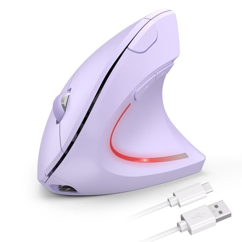 TECKNET Ergonomic Mouse, 2.4G Wireless Mouse Rechargeable, 4800 DPI Vertical Mouse 6-Button Silent Mice with 5 Adjustable Levels DPI, USB Receiver, Cordless Computer Optical Device for Laptop, PC, Mac