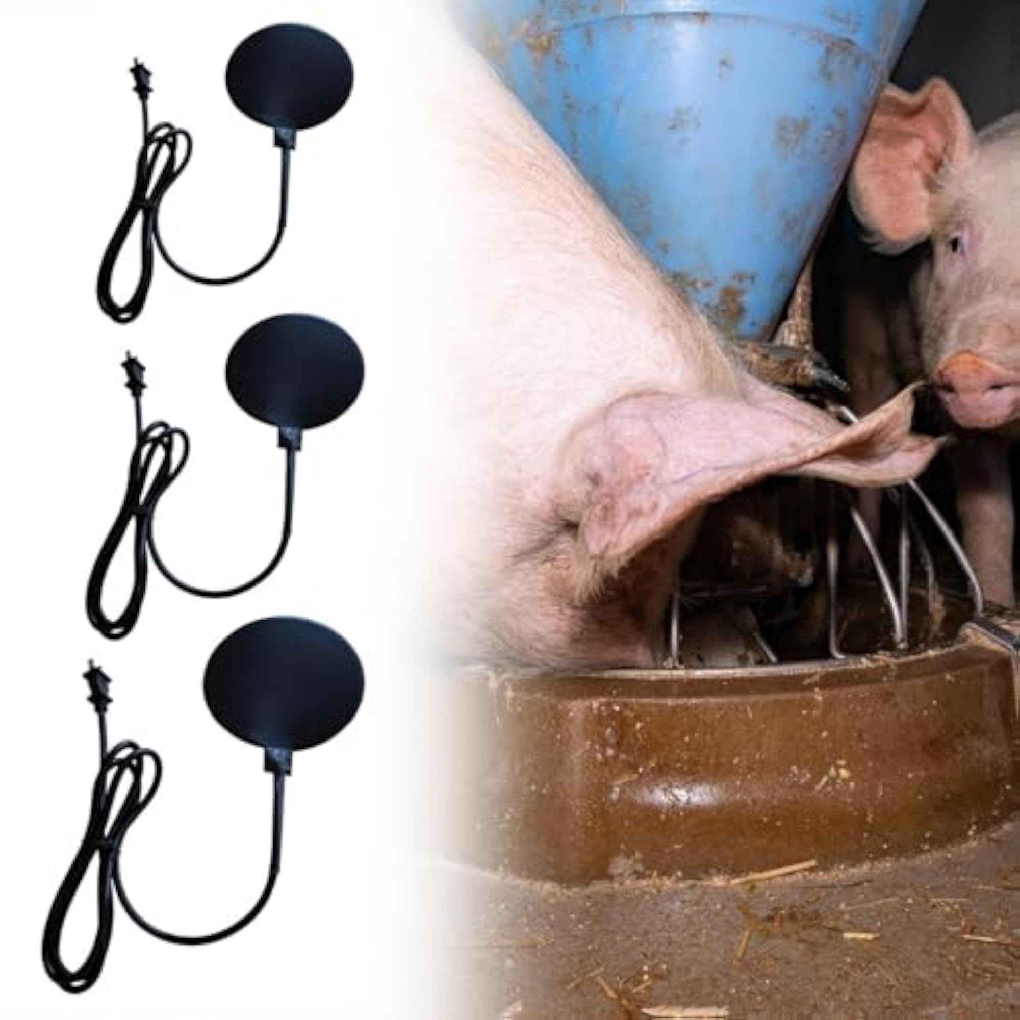 Bird Bath Heater for Winter