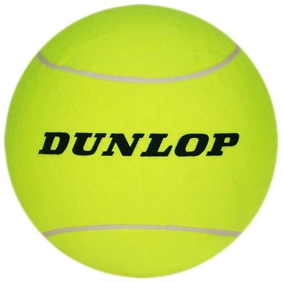 dunlop ball launcher