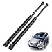 2Pcs ARANA Liftgate Lift Supports Struts Shocks for Hyundai Santa Fe 2007 to 2012