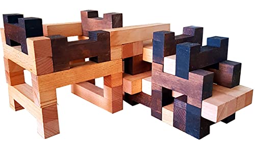 Christophorus-Werkstätten DIE BAUSTEINE - Mal Anders | 32 hochwertige Bausteine | gebeitztes Buchenholz | C und H Form | hell und dunkel | Geschenkidee | Made in Germany | Naturprodukt | Handmade Cover