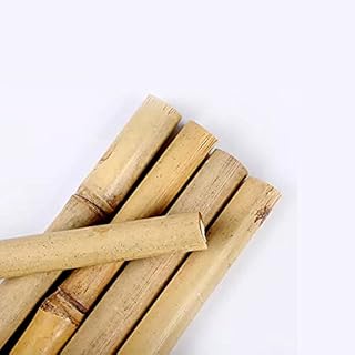 KHYBER Garden Strong Heavy Duty Professional Bamboo Plant Support Garden Canes poles sticks stakes 2FT 3FT 4FT 5FT 6FT 7FT 8FT (5, 3ft, 8-10mm)