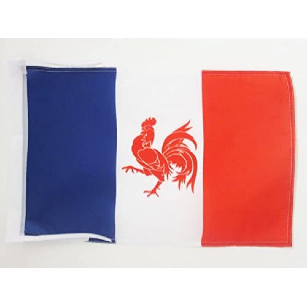 AZ FLAG - Walloon French Movement Flag - 18'' x 12'' - 100% Polyester Rattachism movement Small Banner with Two Cords - Fade Resistant - Vivid Colors - 18x12 in - 45x30 Cm — image 1