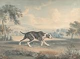  Kunstdruck The Spanish Pointer John Buckler 02597 - A3