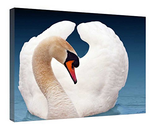 Tableau cygne en bois 40x51 cm encadré et prêt à poser pour salon
