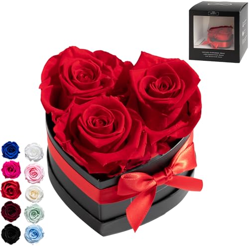 Infinity Flowerbox Small Herz - 3 echte Premiumrosen in Rot - 3 Jahre haltbar ohne gießen | In Geschenkverpackung mit Satinschleife, 6-BB-VR Infinity Flowerbox Small Herz - 3 echte Premiumrosen in Rot - 3 Jahre haltbar ohne gießen | In Geschenkverpackung mit Satinschleife, 6-BB-VR