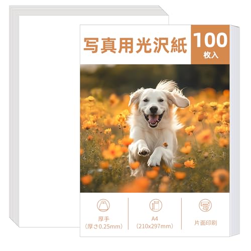 GIFT GARDEN 写真用紙 A4 210x297mm サイズ 収納 フォト用紙 0.25mm厚手 100枚入