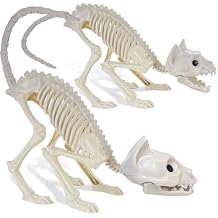 GIFTEXPRESS 2 Pack Real Size Cat Skeleton - 20" Long Creepy Kitten Skeletons with Posable Tail Halloween Decor - Indoor & Outdoor Haunted House Scary Animal Party Decoration