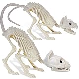 GIFTEXPRESS 2 Pack Real Size Cat Skeleton - 20" Long Creepy Kitten Skeletons with Posable Tail Halloween Decor - Indoor & Outdoor Haunted House Scary Animal Party Decoration