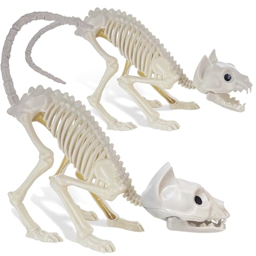GIFTEXPRESS 2 Pack Real Size Cat Skeleton - 20' Long Creepy Kitten Skeletons with Posable Tail Halloween Decor - Indoor & Outdoor Haunted House Scary Animal Party Decoration